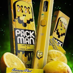 Packman Disposable Lemon Head